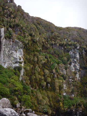 cliff face 1