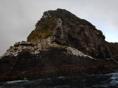 cliff face musgrave inlet