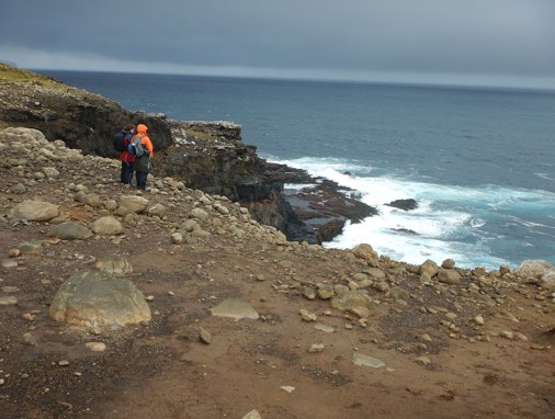 sooty albatros platform