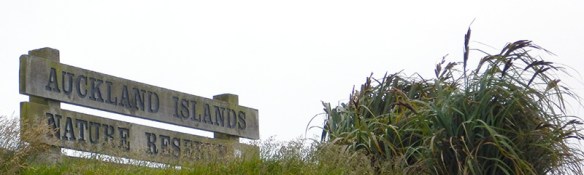 welcome sign