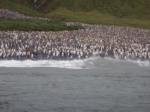 lusitania king colony