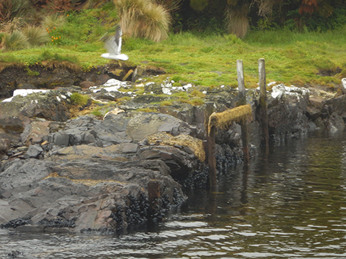 dock and slipway by shephers hut