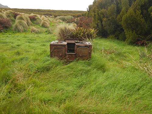 shepherd stove in tussocks