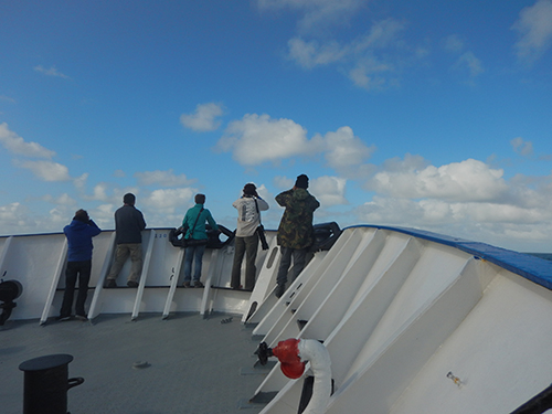 team bird in the prow